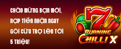 VIP Exclusive Promotion